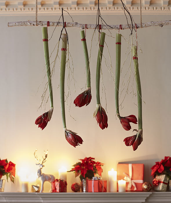 Christmas Flower Decorations Xmas Flower Arrangements M&S